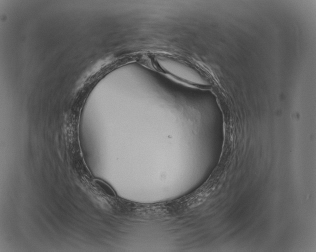 X0000084551159200703091712