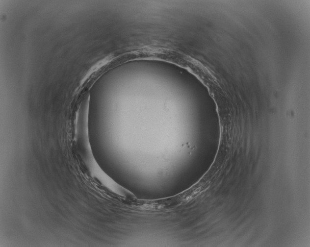 X0000084551160200703091712