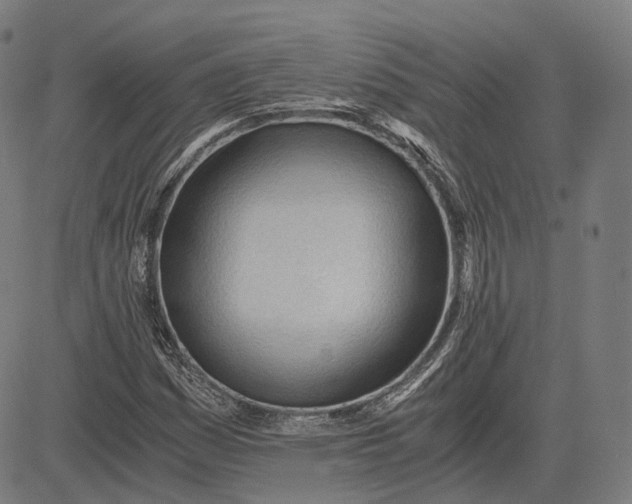 X0000084551161200703091712