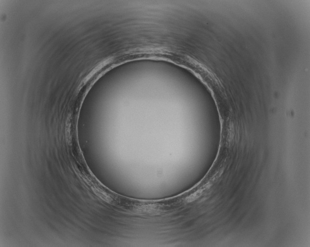 X0000084551162200703091712