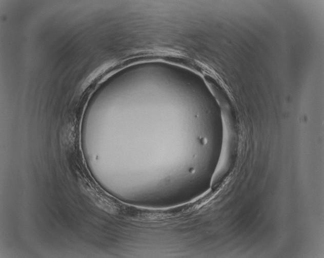 X0000084551163200703091712