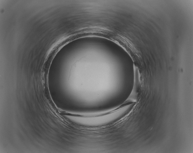 X0000084551164200703091712