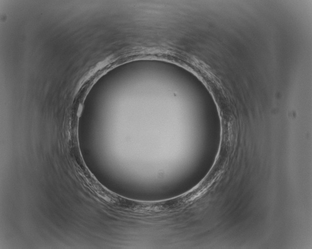 X0000084551165200703091712