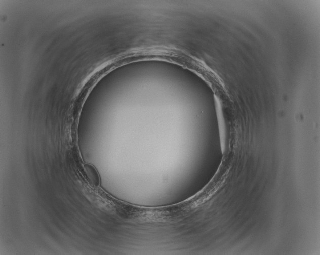 X0000084551166200703091712