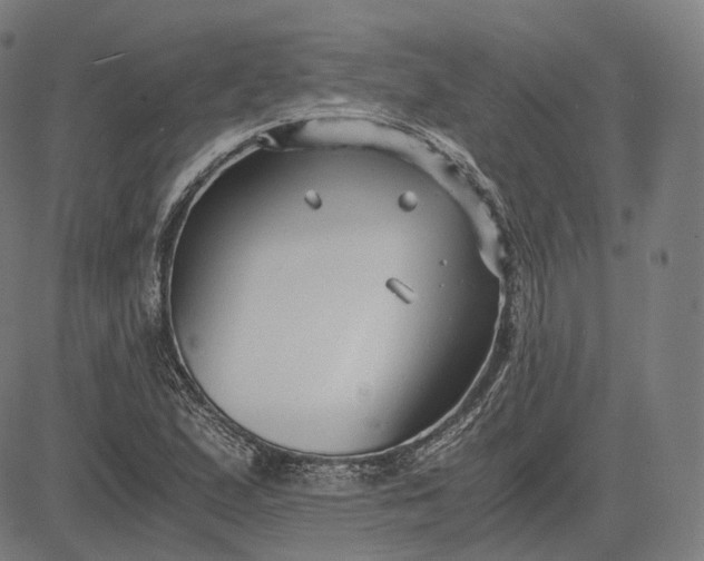 X0000084551167200703091712