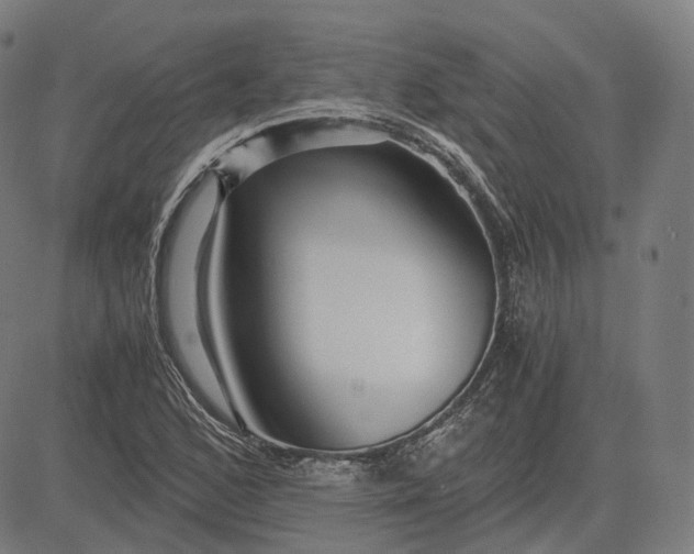 X0000084551168200703091712