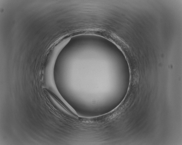 X0000084551169200703091712