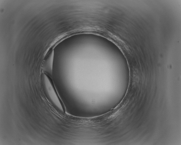 X0000084551170200703091712