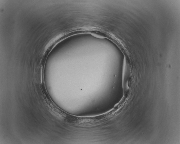 X0000084551171200703091712