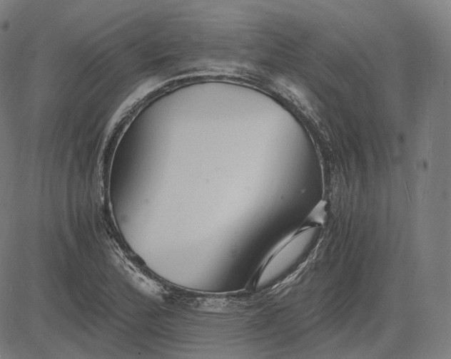 X0000084551172200703091712