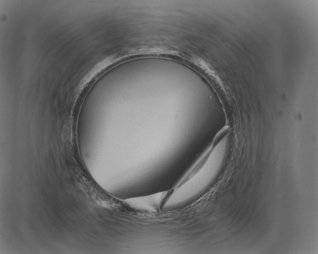 X0000084551173200703091712