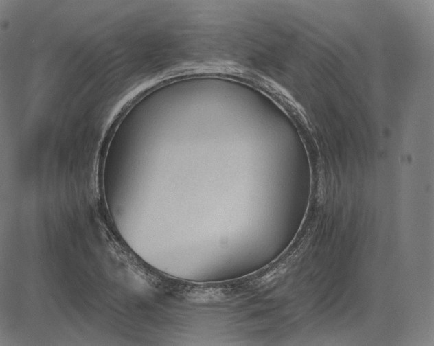 X0000084551174200703091712