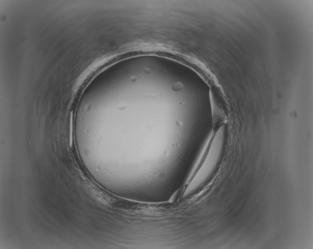 X0000084551175200703091712