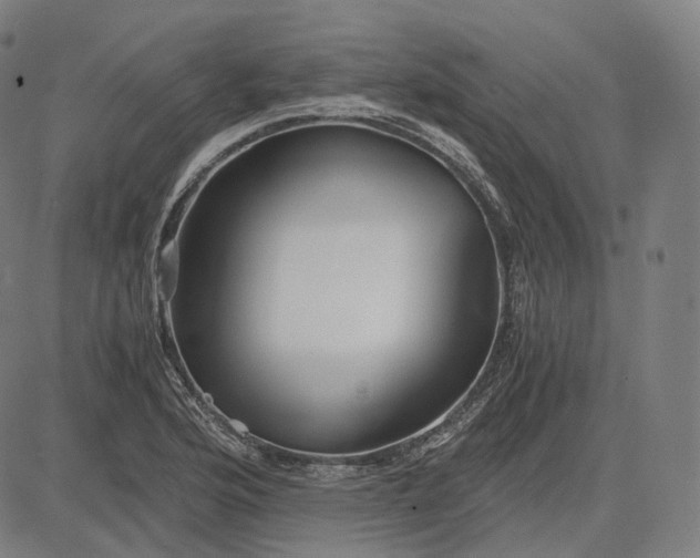 X0000084551176200703091712