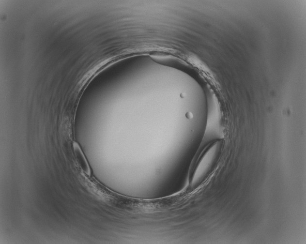 X0000084551177200703091712