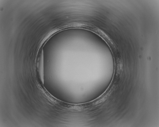 X0000084551178200703091712