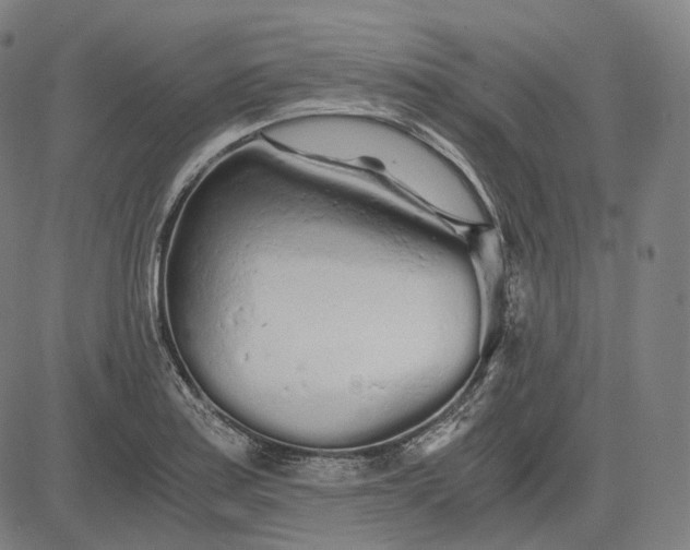 X0000084551179200703091712