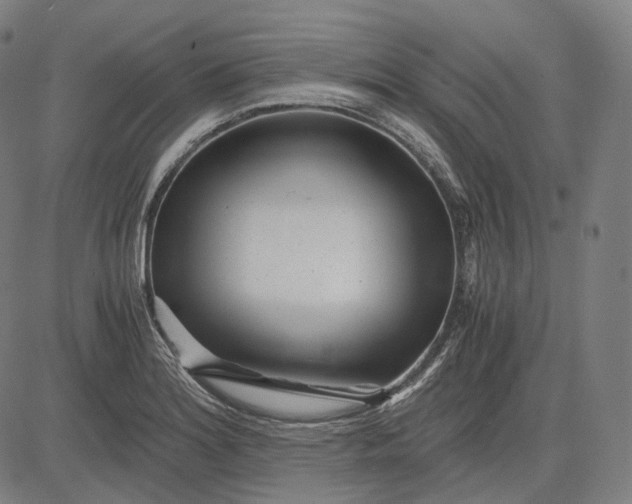 X0000084551180200703091712