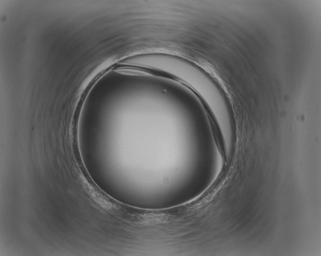 X0000084551181200703091711