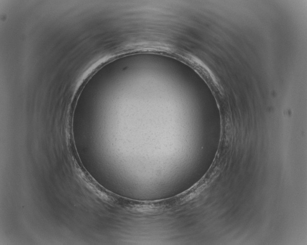 X0000084551182200703091711