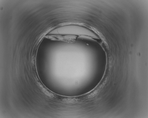 X0000084551185200703091711