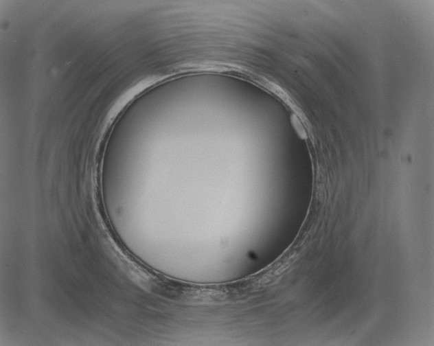 X0000084551187200703091711