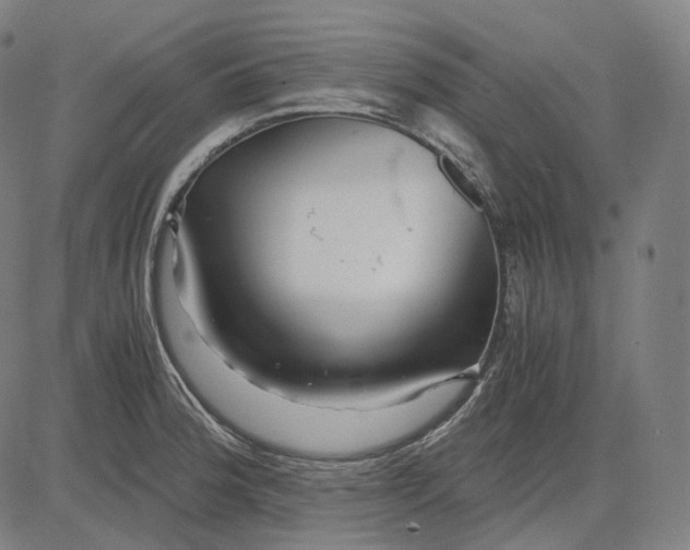 X0000084551188200703091711