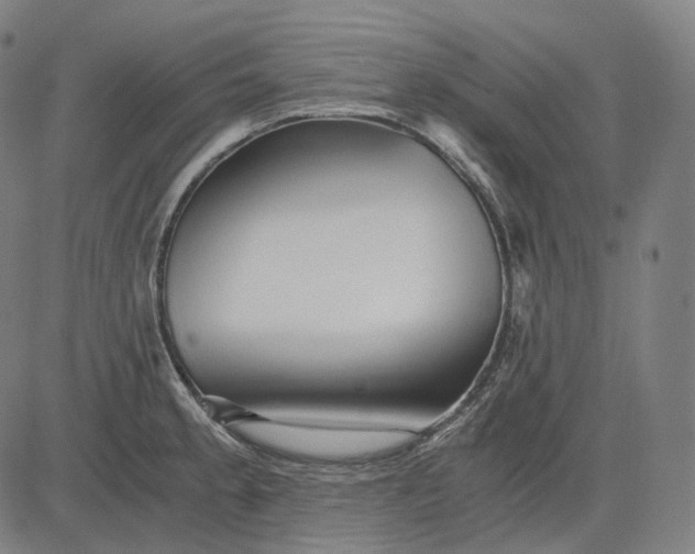 X0000084551189200703091711