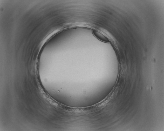 X0000084551190200703091711