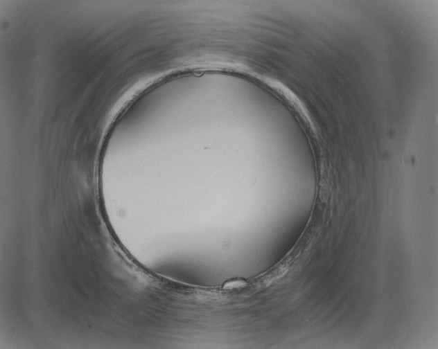 X0000084551191200703091711