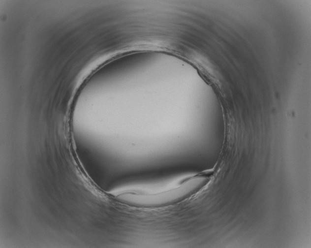 X0000084551192200703091711