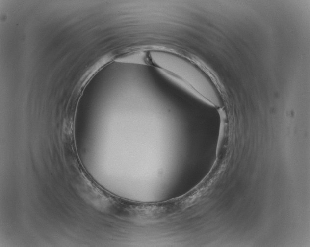 X0000084551193200703091711