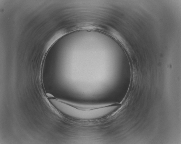 X0000084551194200703091711