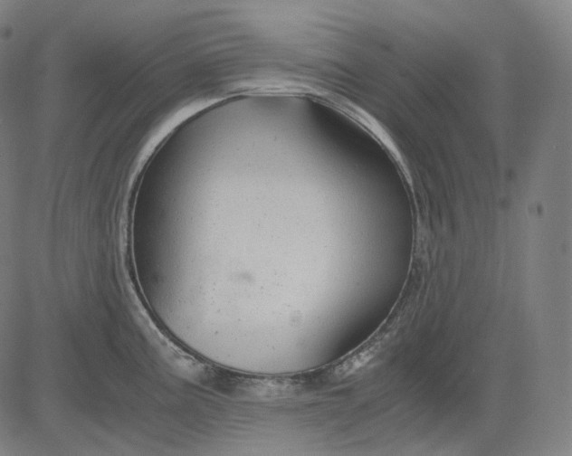 X0000084551195200703091711