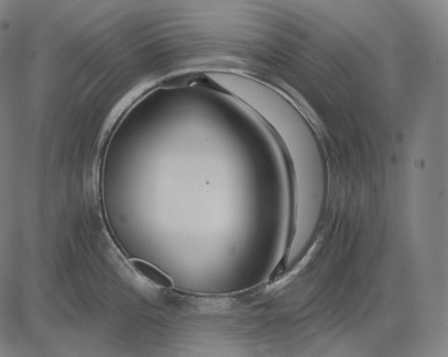 X0000084551196200703091711