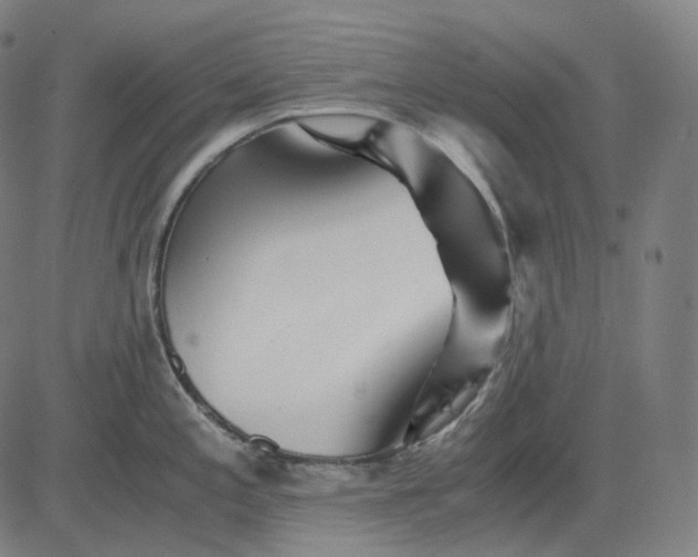 X0000084551197200703091711