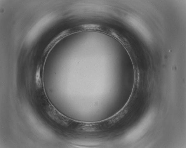 X0000084551198200703091711