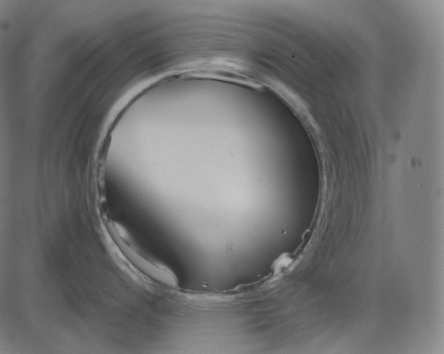 X0000084551200200703091711