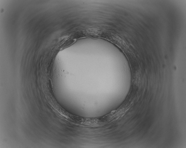 X0000084551201200703091710