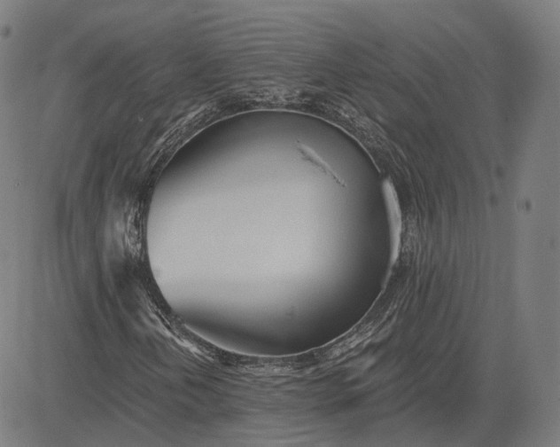 X0000084551202200703091710