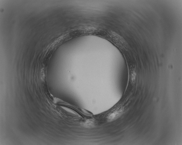 X0000084551204200703091710