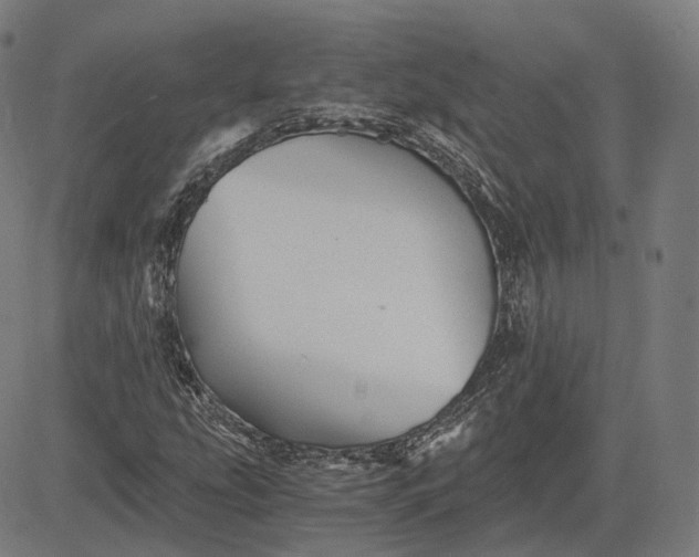 X0000084551207200703091710