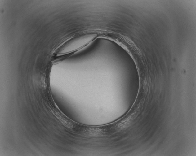 X0000084551209200703091711