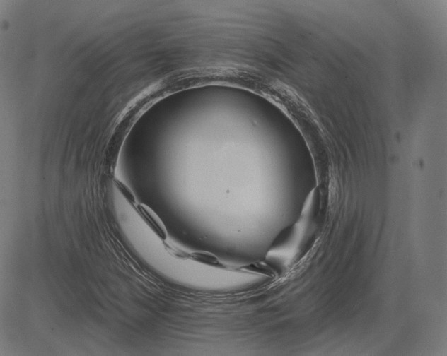 X0000084551210200703091711