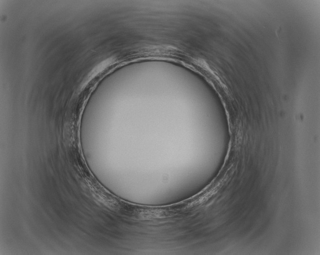 X0000084551211200703091711