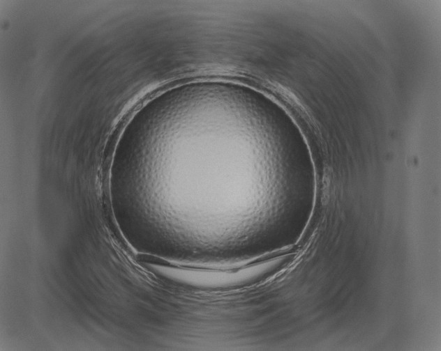 X0000084551212200703091711