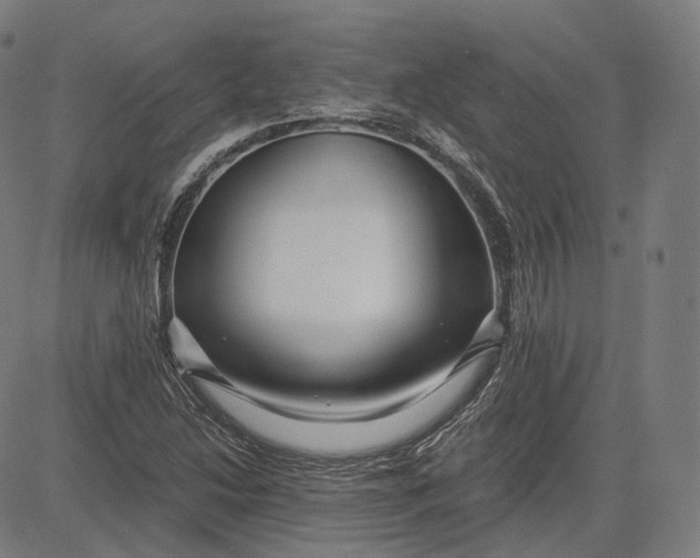 X0000084551214200703091711