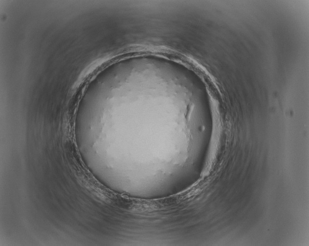 X0000084551215200703091711