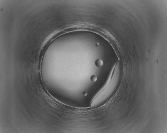 X0000084551216200703091711