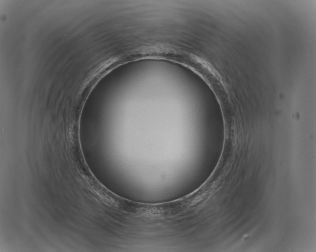 X0000084551217200703091711